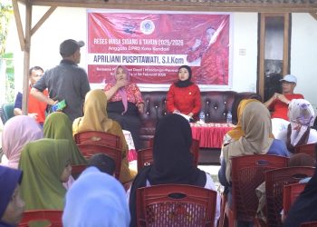 Apriliani Puspitawati Sudah Realisasikan Sejumlah Infrastruktur Ini Sebelum Bertemu Warga Watulondo