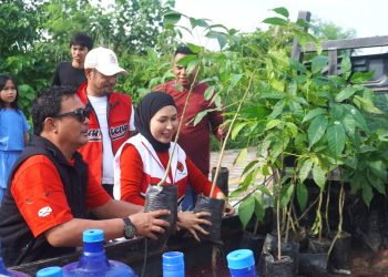 Program Ekologis PDI Perjuangan Kota Kendari dengan Gerakan 1.000 Pohon