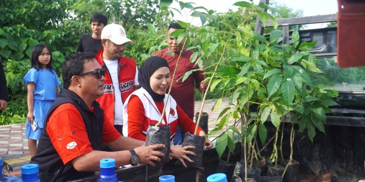 Program Ekologis PDI Perjuangan Kota Kendari dengan Gerakan 1.000 Pohon
