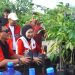Program Ekologis PDI Perjuangan Kota Kendari dengan Gerakan 1.000 Pohon