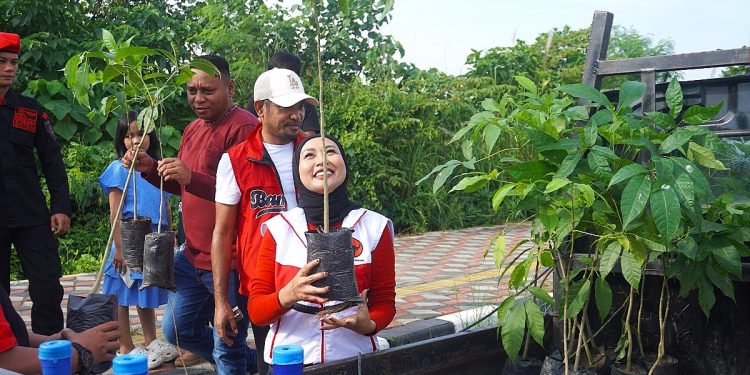 Mengenal Pohon Tabebuya Rekomendasi PDIP jadi Tanaman Ikonik Inner Ring Road Kota Kendari