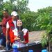 Mengenal Pohon Tabebuya Rekomendasi PDIP jadi Tanaman Ikonik Inner Ring Road Kota Kendari