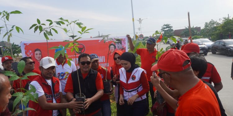 PHOTO: Merawat Pertiwi, PDI Perjuangan Kota Kendari Aksi Tanam Pohon Tebebuya