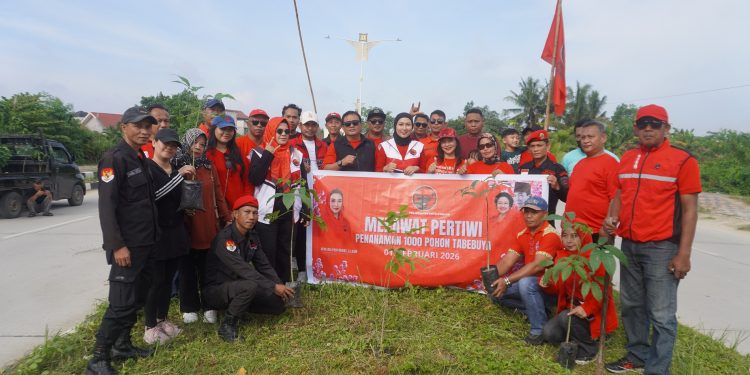 PHOTO: Merawat Pertiwi, PDI Perjuangan Kota Kendari Aksi Tanam Pohon Tebebuya
