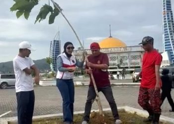 PDI Perjuangan Kendari Tanam Tabebuya di Masjid Al Alam, Apriliani Sebut Bakal jadi Ikon Keindahan Masjid