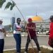 PDI Perjuangan Kendari Tanam Tabebuya di Masjid Al Alam, Apriliani Sebut Bakal jadi Ikon Keindahan Masjid