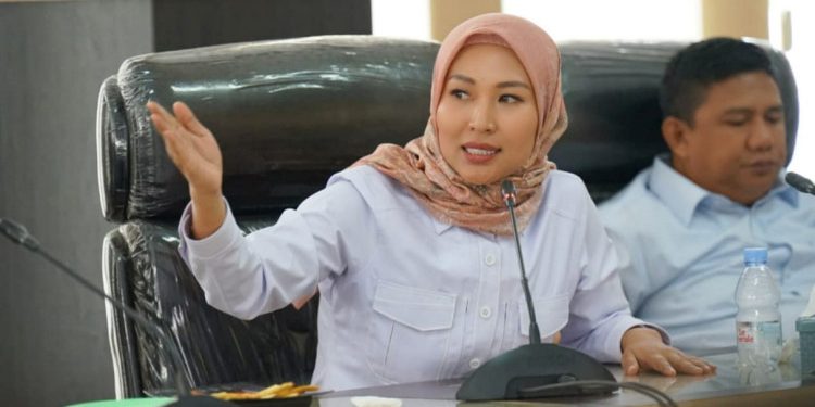 PDI Perjuangan Kendari Tata Ulang Fraksi, Zulham Damu Digantikan