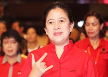 Puan Maharani Sentil Kebijakan WFH, Tekankan Hal Ini