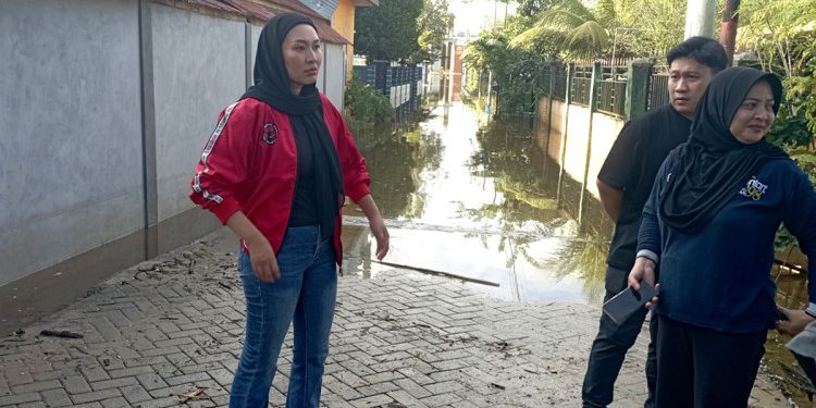 Ketua DPC PDI Perjuangan Kota Kendari Dirikan Posko Bantuan di Lokasi Banjir Sungai Wanggu