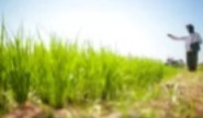 PDI Perjuangan Usulkan Petani dan Pekerja Informal Dapat BPJS Ketenagakerjaan Gratis dari Negara